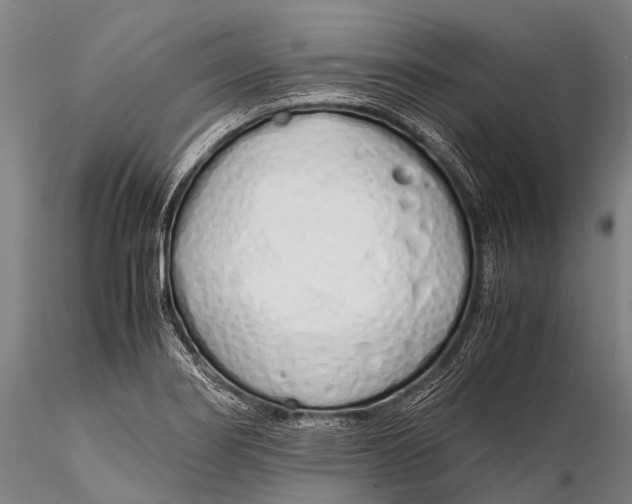 X0000115621274200912011606