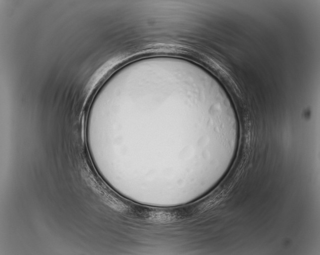 X0000115621275200912011606