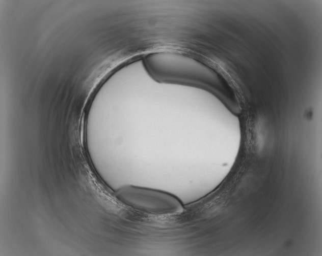 X0000115621276200912011606