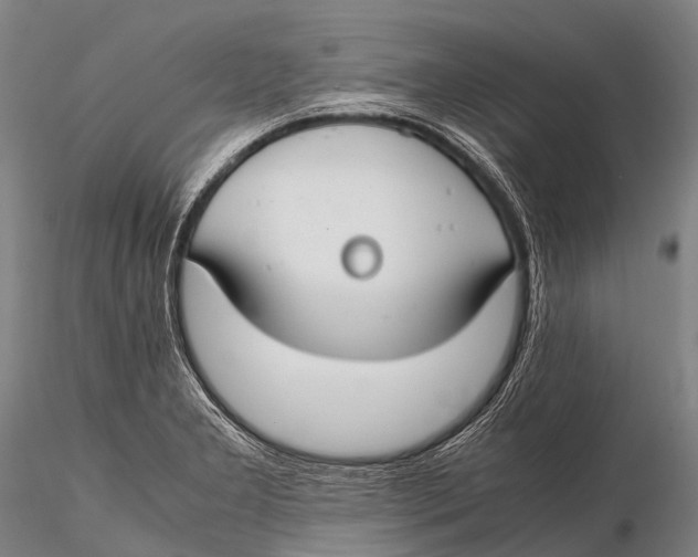 X0000115621277200912011606