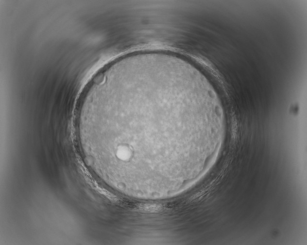 X0000115621278200912011606