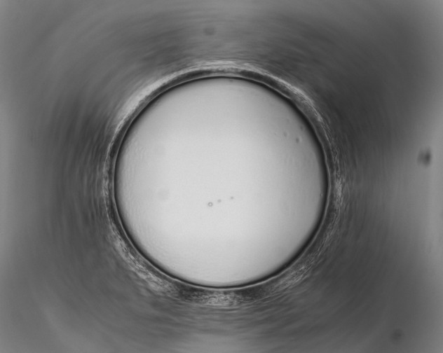 X0000115621279200912011606