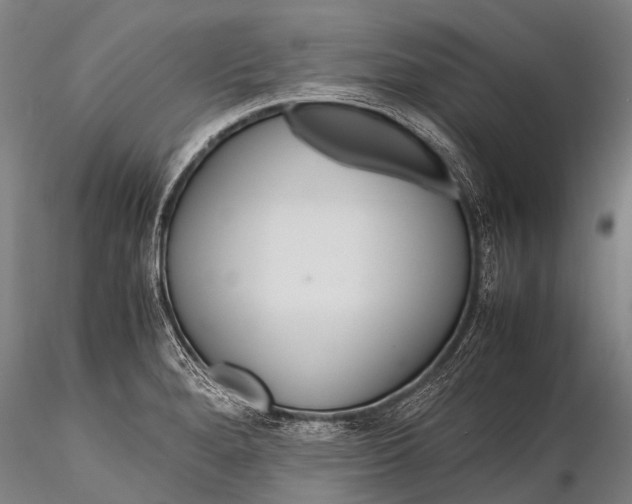 X0000115621280200912011606