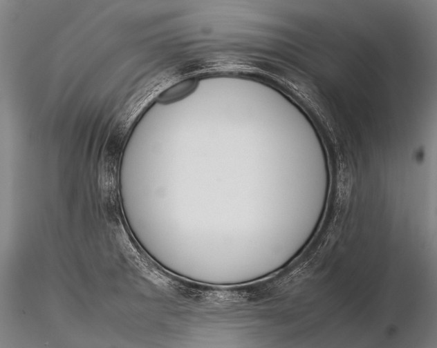 X0000115621281200912011606