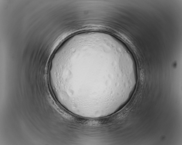 X0000115621283200912011606