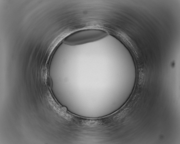 X0000115621284200912011606