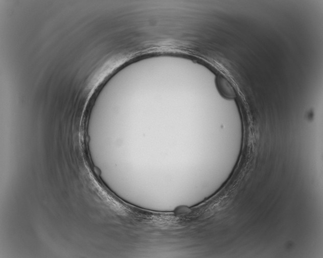 X0000115621285200912011606