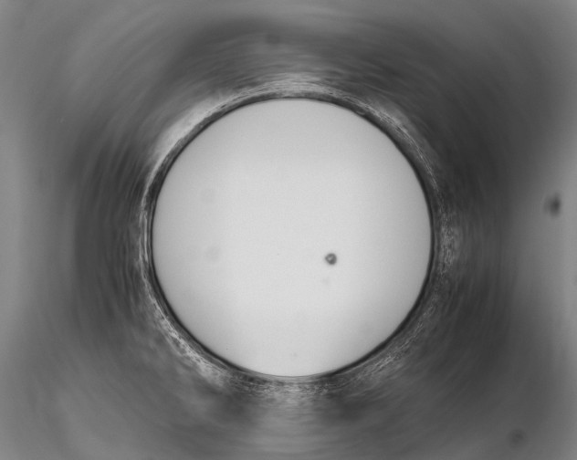 X0000115621286200912011606