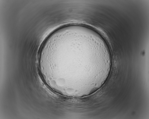 X0000115621287200912011606