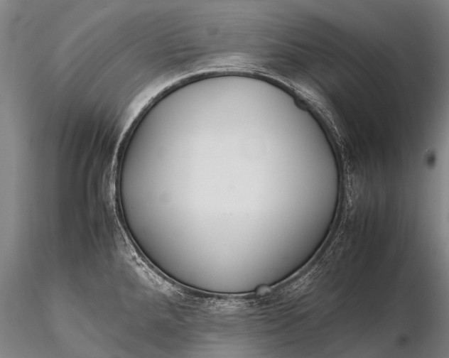 X0000115621288200912011606