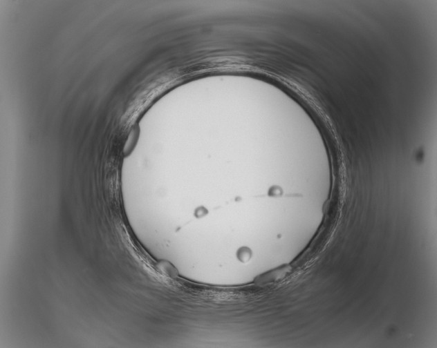 X0000115621289200912011606