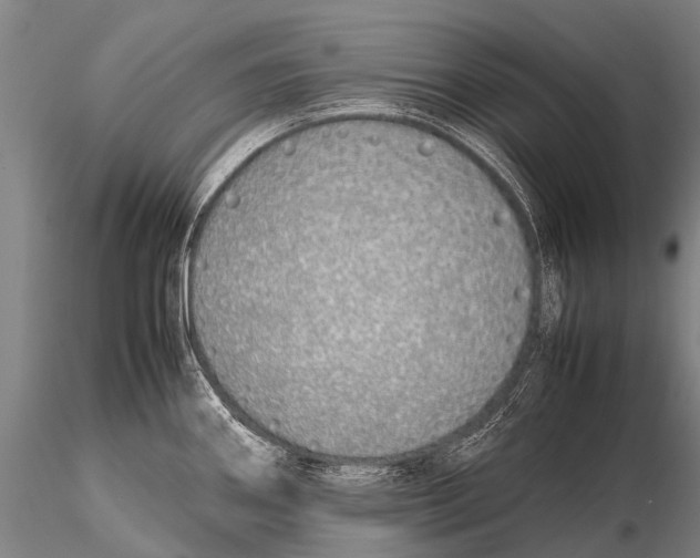 X0000115621290200912011606