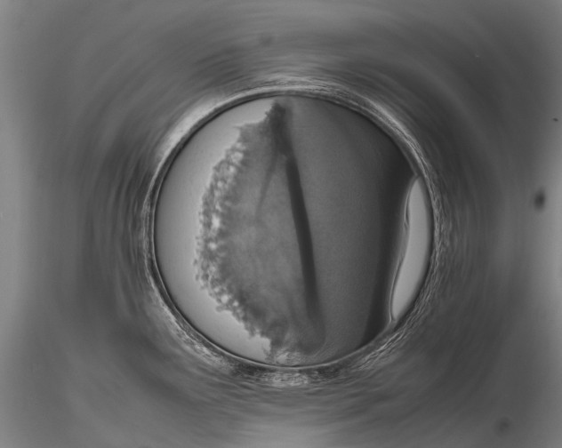 X0000115621291200912011606