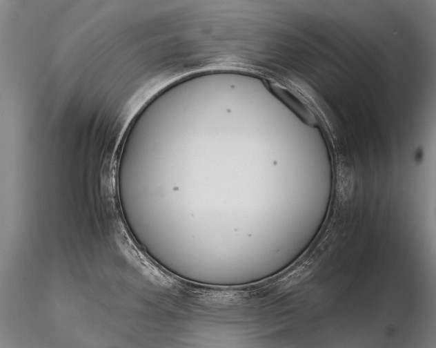 X0000115621292200912011606