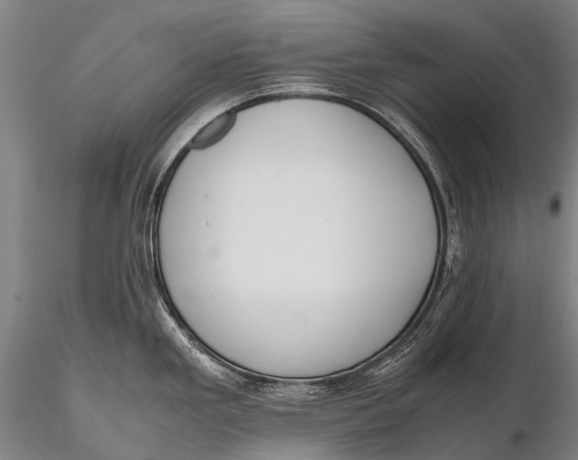 X0000115621293200912011606