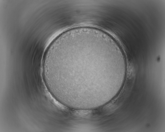 X0000115621294200912011606