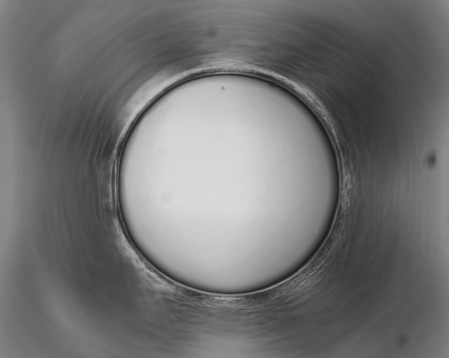 X0000115621295200912011606