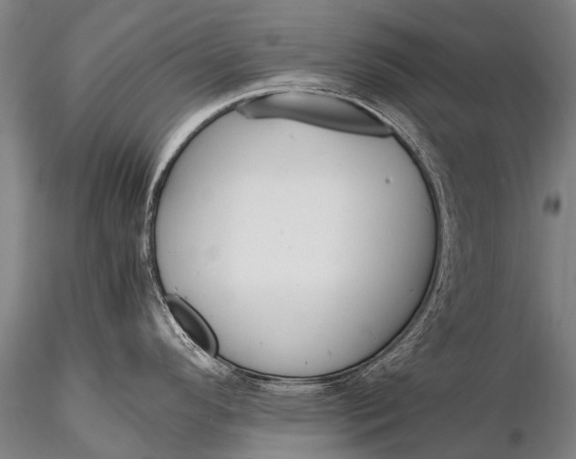 X0000115621296200912011606