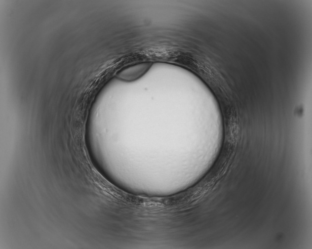 X0000115621297200912011605