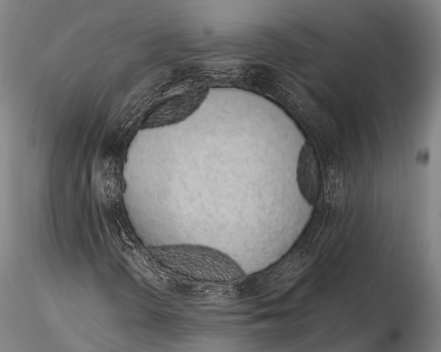 X0000115621298200912011605