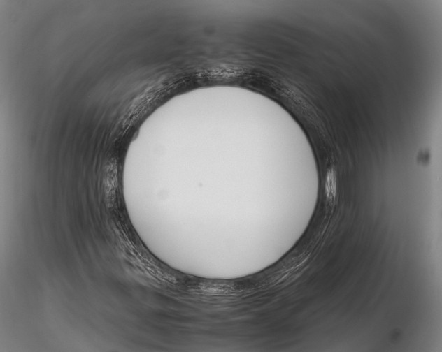 X0000115621299200912011605