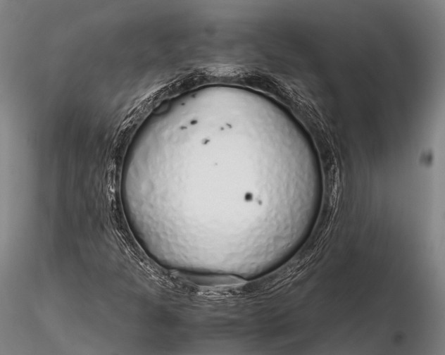 X0000115621301200912011605