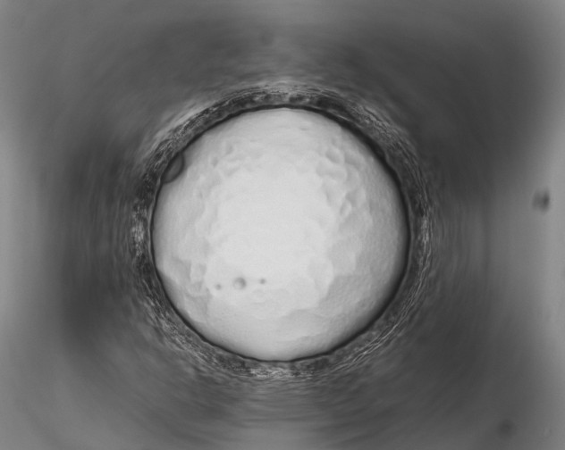 X0000115621302200912011605