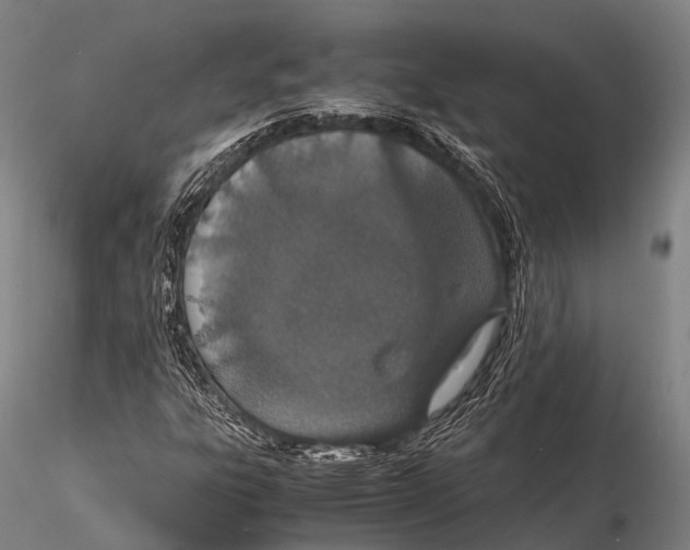 X0000115621303200912011605