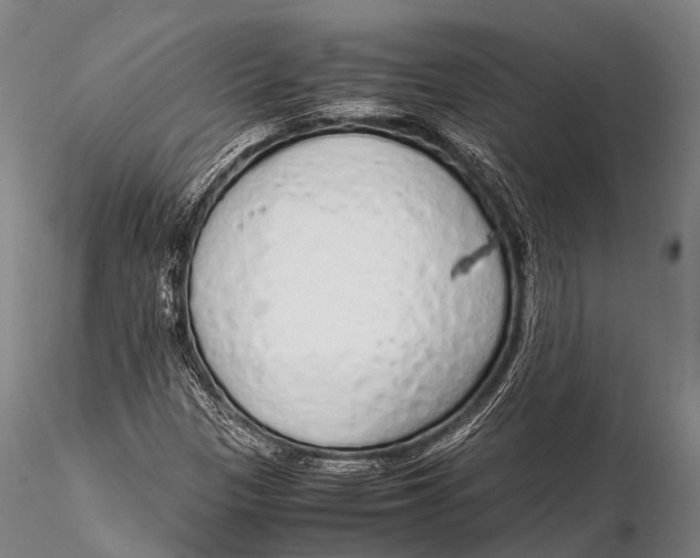 X0000115621305200912011605