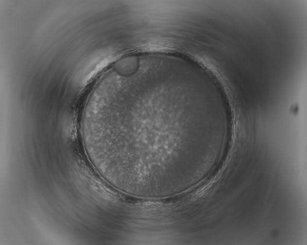 X0000115621306200912011605