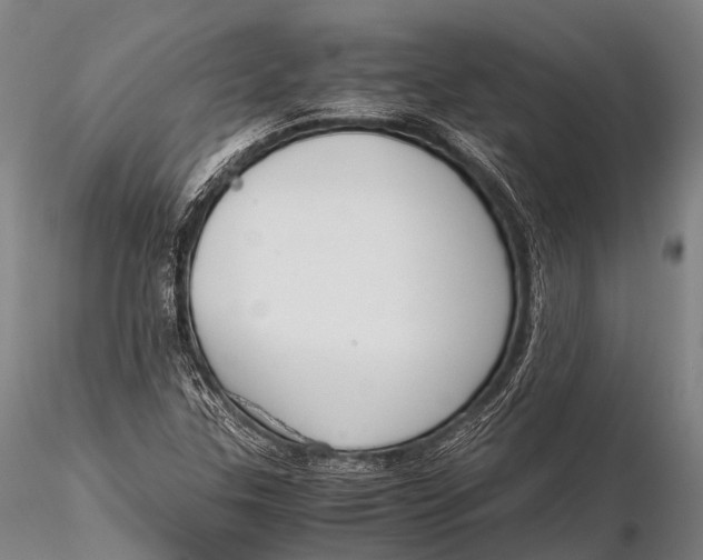 X0000115621307200912011605