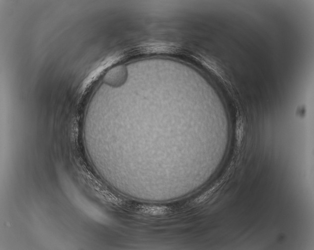 X0000115621309200912011605