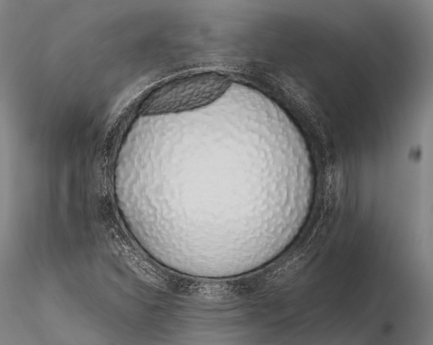 X0000115621310200912011605