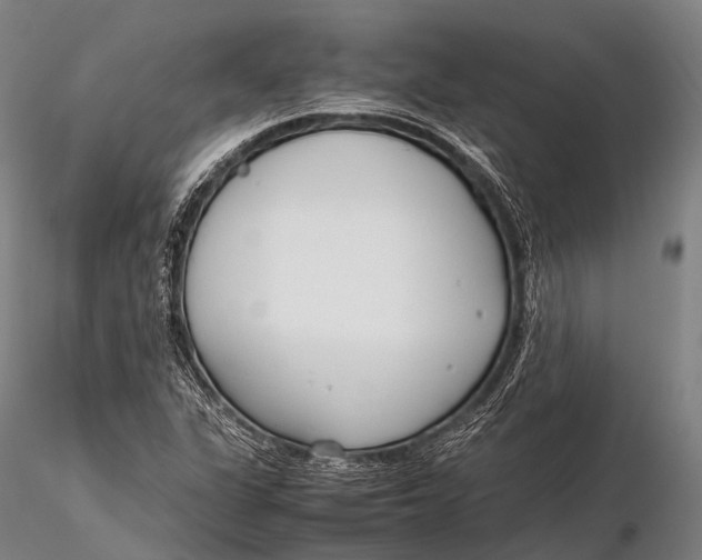 X0000115621311200912011605