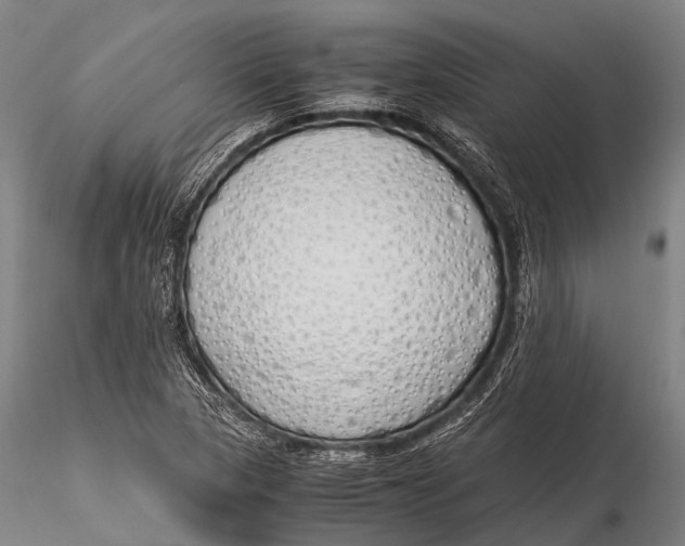 X0000115621313200912011605