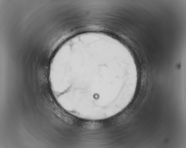 X0000115621314200912011605