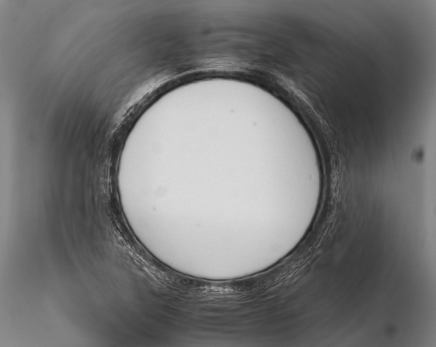 X0000115621315200912011605