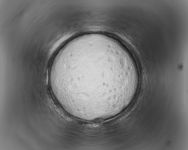 X0000115621317200912011605