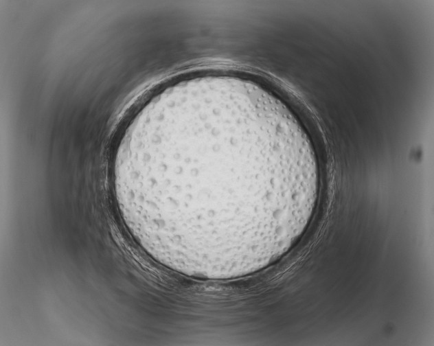 X0000115621318200912011605