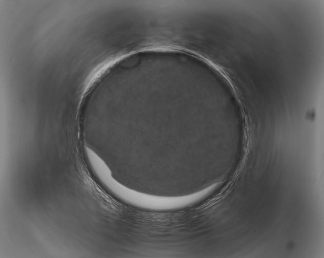 X0000115621319200912011605