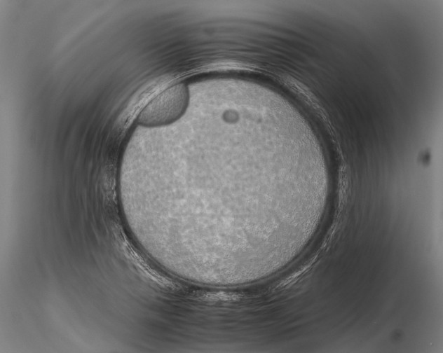 X0000115621321200912011605