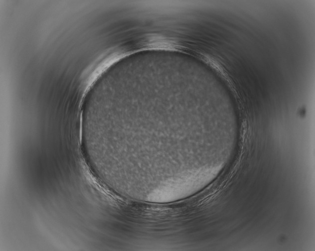 X0000115621323200912011605