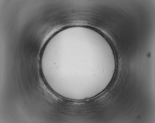 X0000115621325200912011605