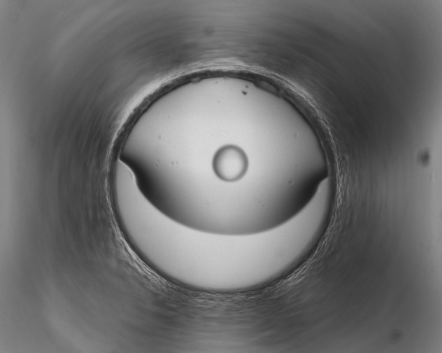 X0000115621326200912011606