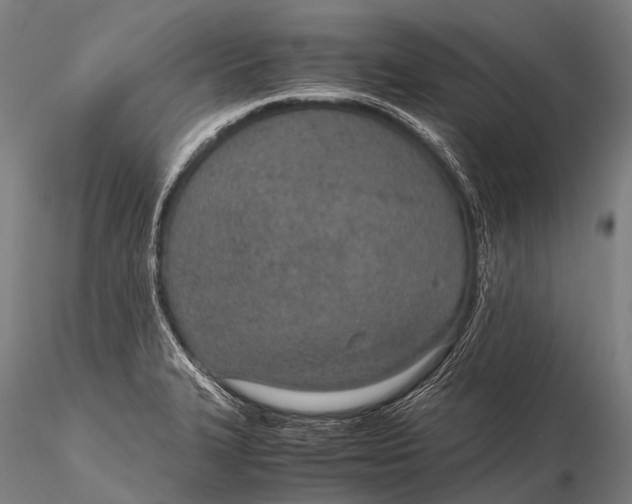 X0000115621327200912011606