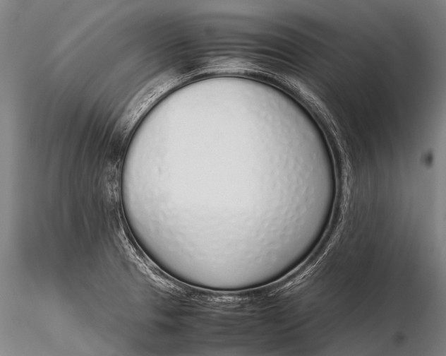 X0000115621329200912011606