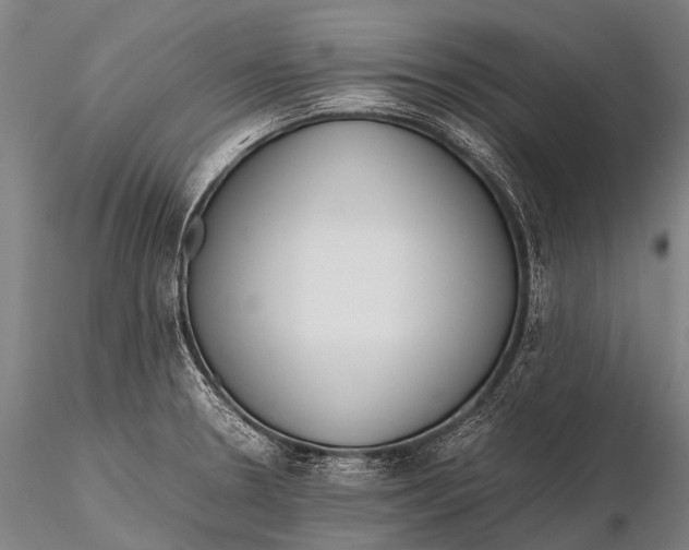 X0000115621330200912011606