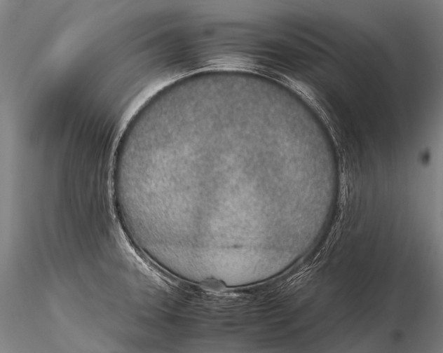 X0000115621331200912011606