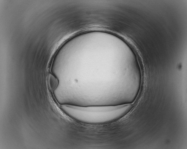 X0000115621333200912011606