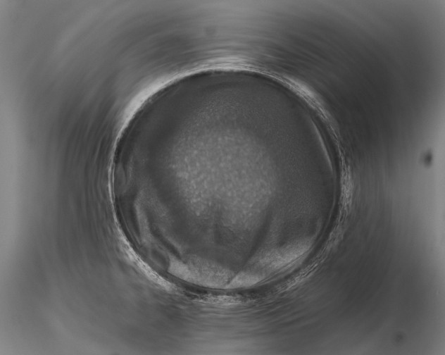 X0000115621334200912011606